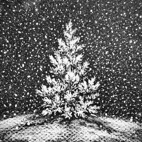 White as Snow