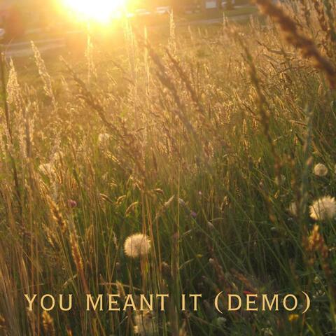 you meant it (demo)