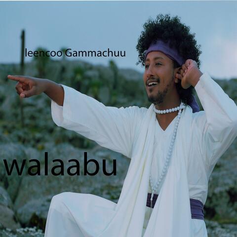 walaabu