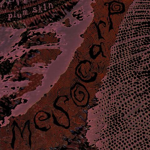 Mesocarp