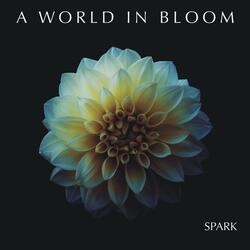 Spark