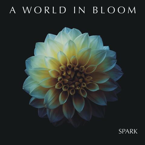 Spark