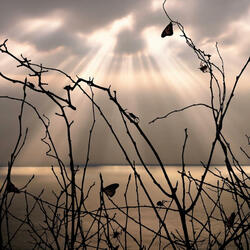 Just Friends (feat. Yvngtana)