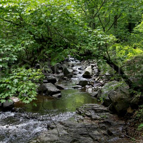 Pike Creek