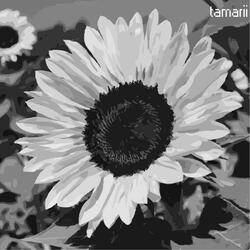 flower for him