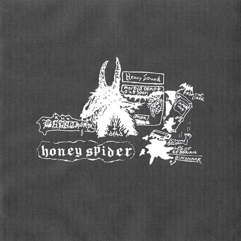 Honey Spider