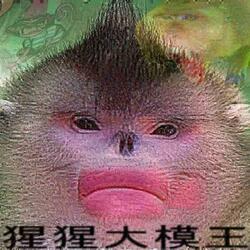 Orangutan Model King