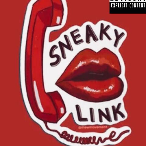 Sneaky Link