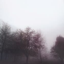 True Forced Loneliness