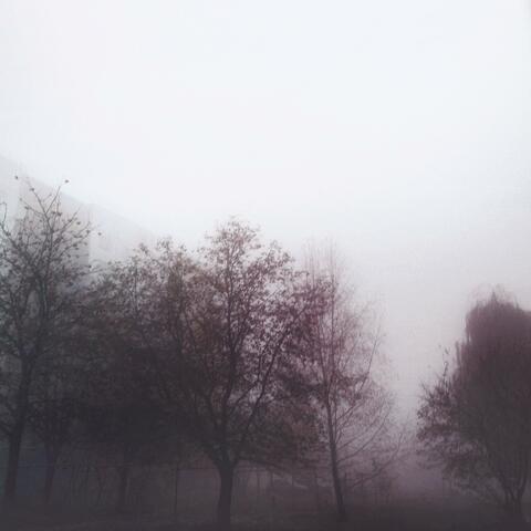 True Forced Loneliness (slowed)