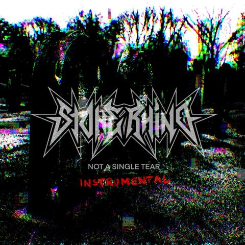 Not a SingleTear (instrumental)