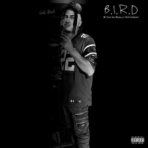 B.I.R.D