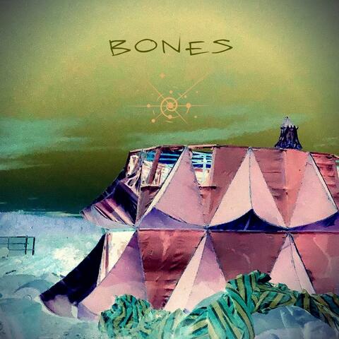 Bones