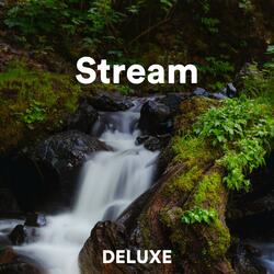 Stream