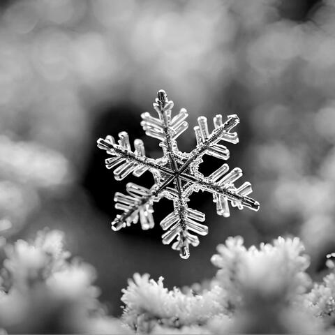 Snowfall