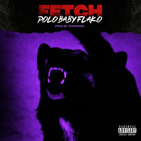 FETCH (feat. Purpdogg)