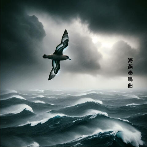 Sonta No.1 in D major (the Stormy Petrel)