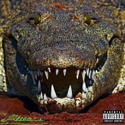 Crocodile Teeth