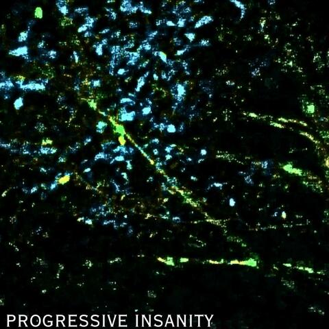 Progressive Insanity