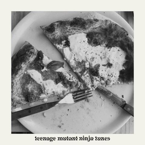 Teenage Mutant Ninja Tunes