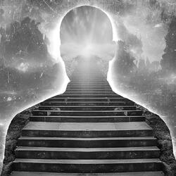 MaNiFeSTaTiON