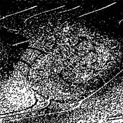 Long Live Violence pt. 1 (Live)