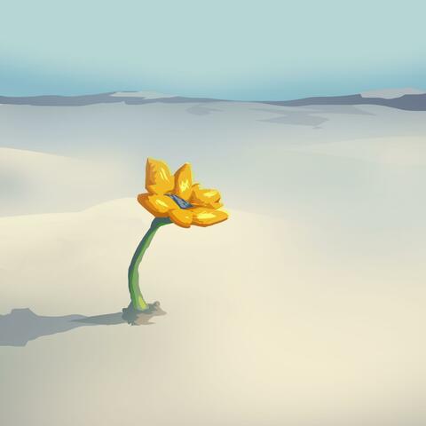 There Are Flowers Blooming In Antarctica