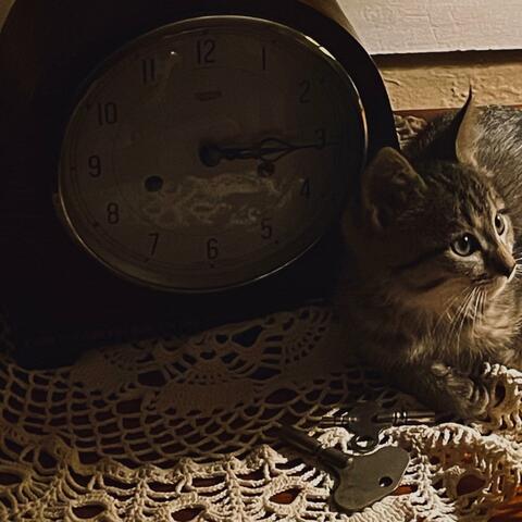 time unspent