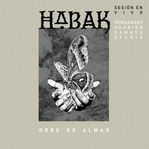 Orbe de Almas   ([Live][Recorded at Permanent Hearing Damage Studio])