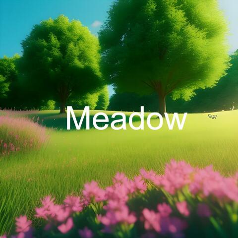 Meadow