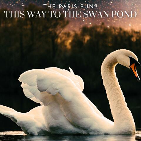 This Way To The Swan Pond