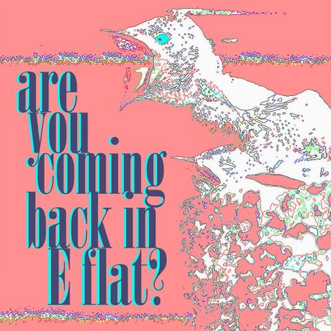 Are You Coming Back in E Flat?