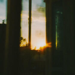 sunbeams