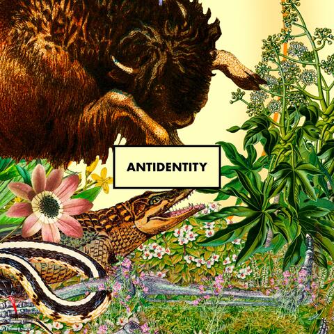 Antidentity
