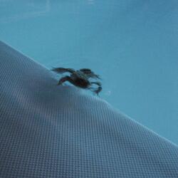 Troppo in profondità