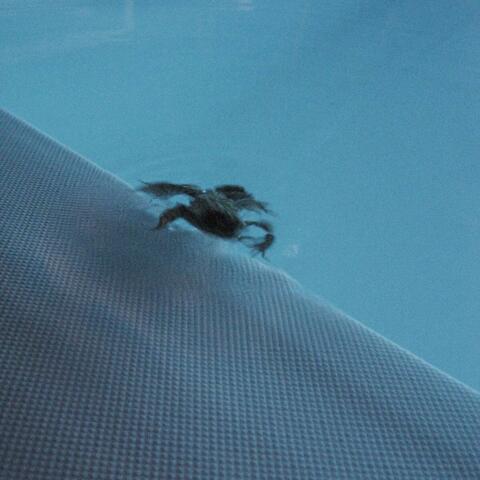 Troppo in profondità