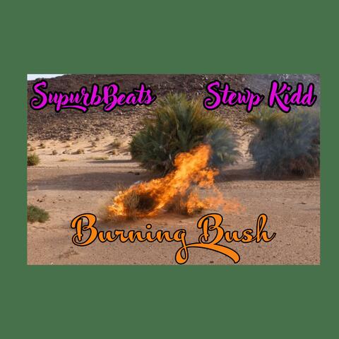 Burning Bush (feat. Stewp KiDD)