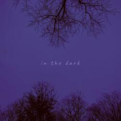 in the dark