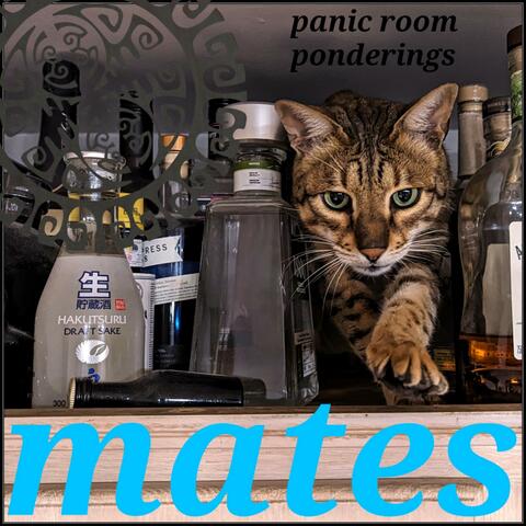 panic room ponderings