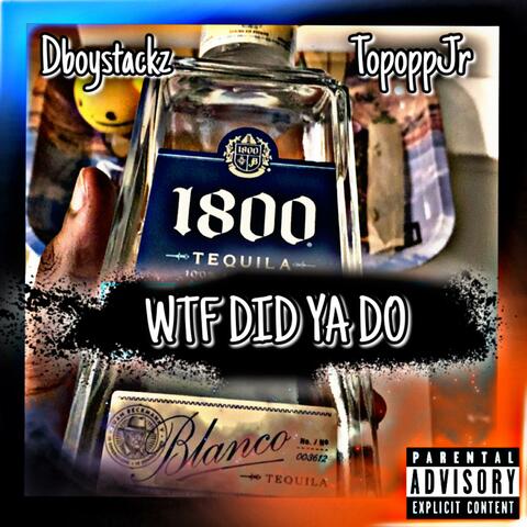 WTF DID YA DO (feat. TopoppJr)