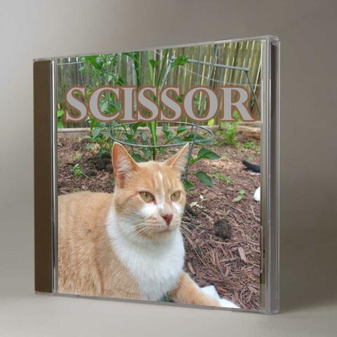 Scissor