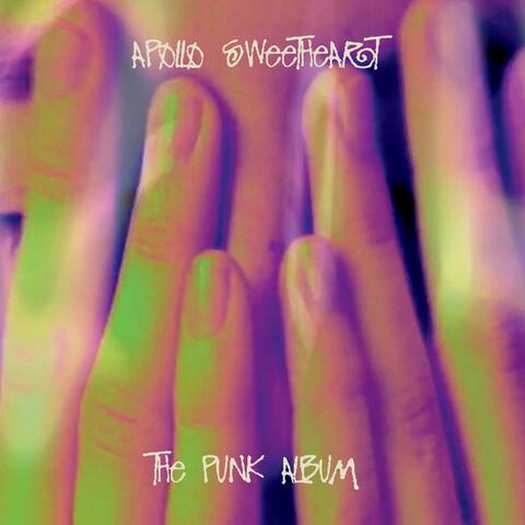 the punk album