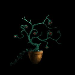 J'peux pas te frente