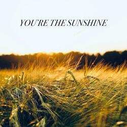 You're The Sunshine