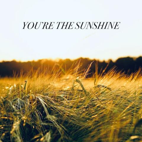You're The Sunshine