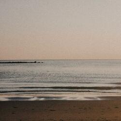 Did I Ever Say I'm Sorry