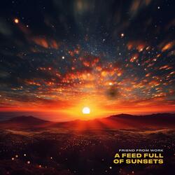 A Feed Full of Sunsets