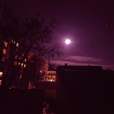 Escape the world (Part.1)