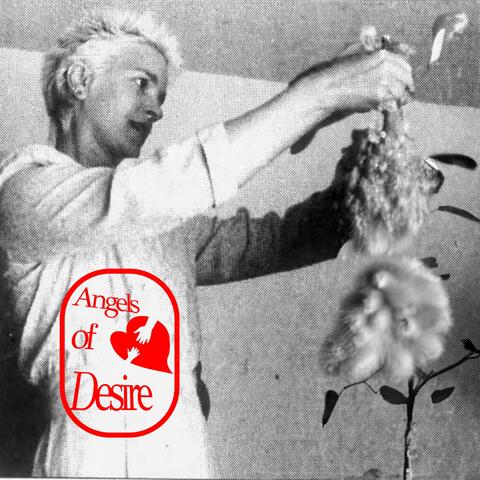 Angels of Desire