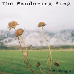 Wandering King